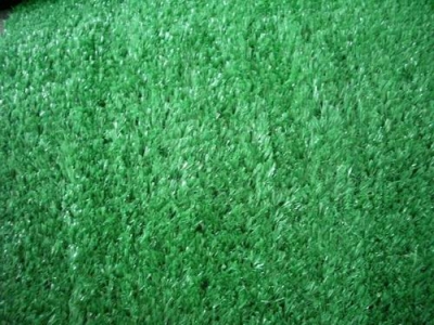 Artificial grass 01